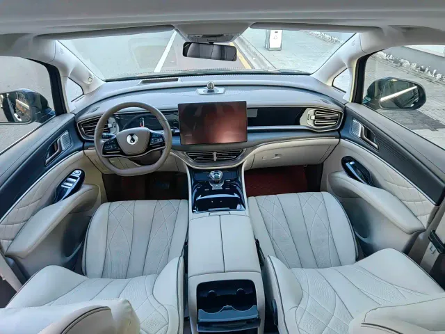 Denza D9 — Фото автомобиля 5