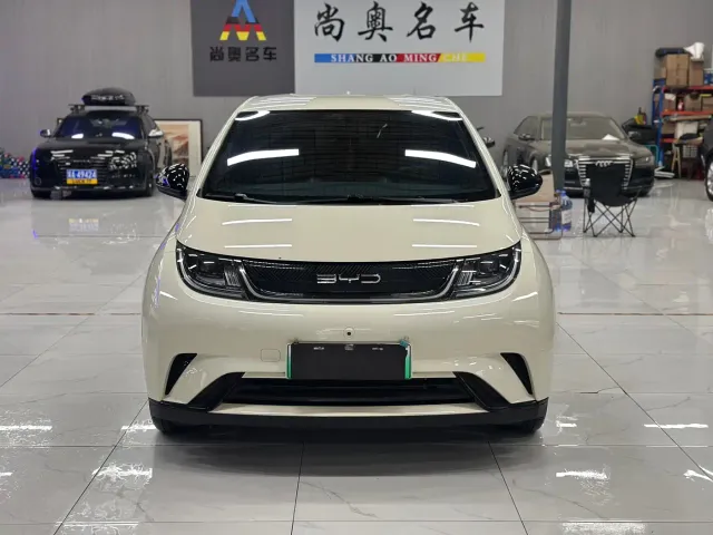 Фотография автомобиля — BYD Dolphin