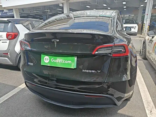 Tesla Model Y — Фото автомобиля 3