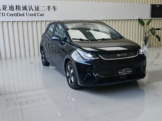 BYD Dolphin — Фото автомобиля 3