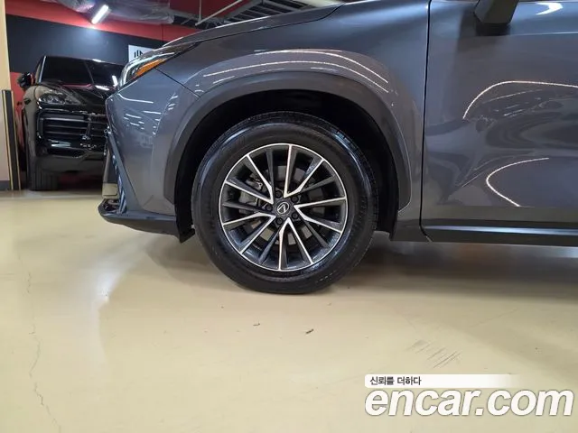 Lexus NX NX450h+ 2nd Gen — Фото автомобиля 5