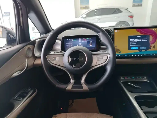 BYD Dolphin — Фото автомобиля 10