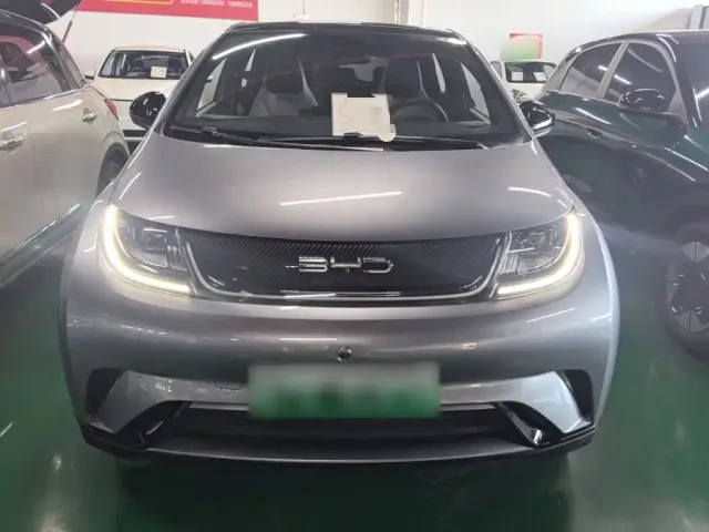 BYD Dolphin — Фото автомобиля 2