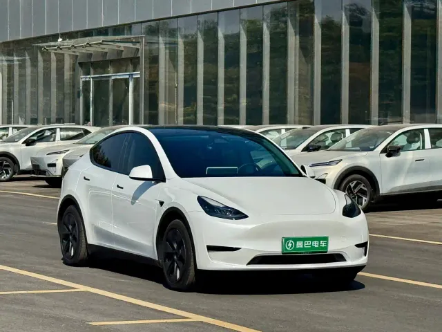 Tesla Model Y — Фото автомобиля 2