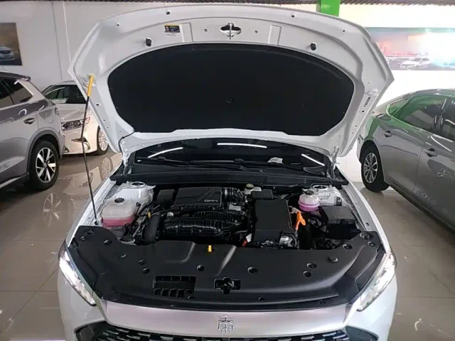 BYD Qin PLUS — Фото автомобиля 19