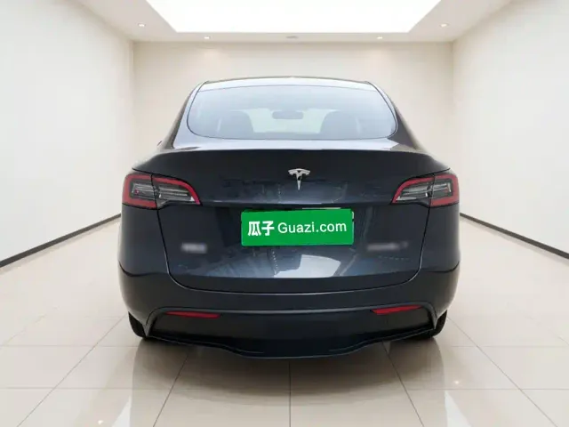 Tesla Model Y — Фото автомобиля 5