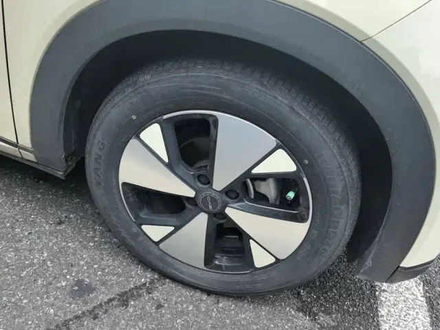 BYD Dolphin — Фото автомобиля 6
