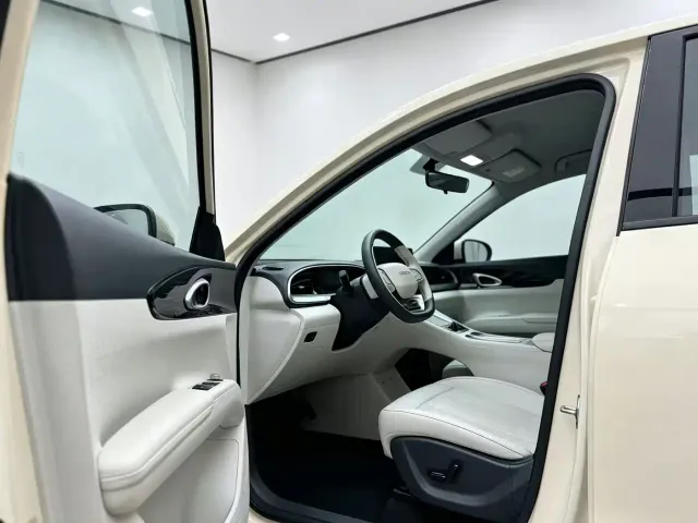 Geely Starry Wish — Фото автомобиля 6