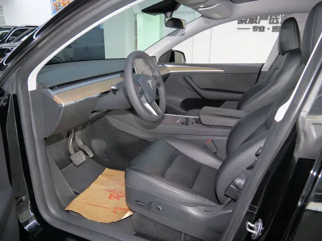 Tesla Model Y — Фото автомобиля 9