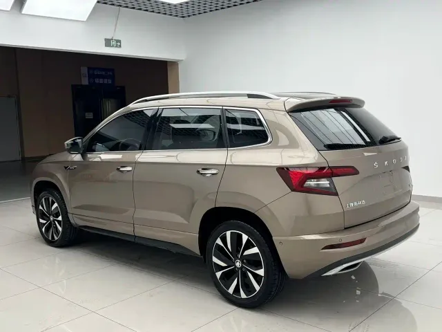 Skoda Karoq — Фото автомобиля 6