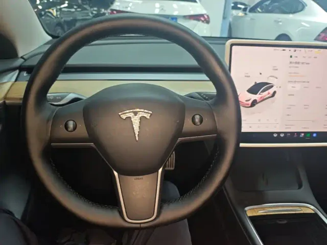 Tesla Model 3 — Фото автомобиля 10
