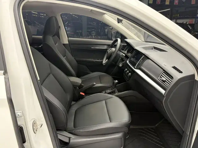 Skoda Kamiq — Фото автомобиля 16