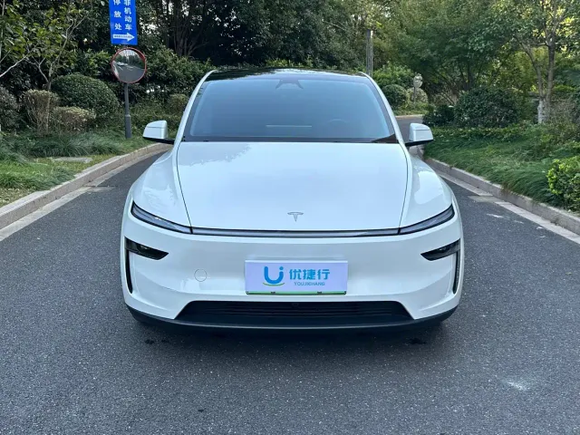 Tesla Model Y — Фото автомобиля 3