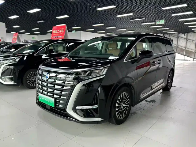 Фотография автомобиля — Denza D9