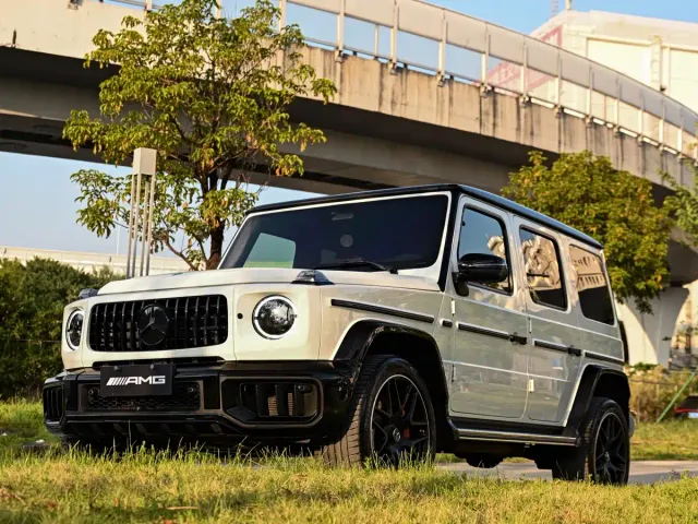 Mercedes-Benz G-Class — Фото автомобиля 21