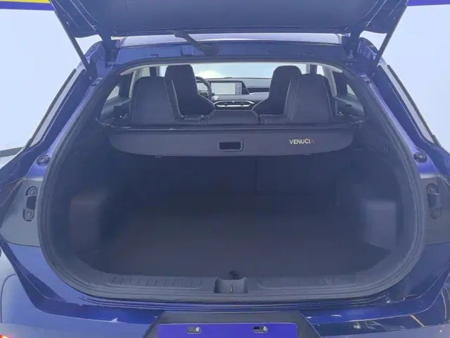 Venucia Venucia Big V 2021 260T Idol Edition — Фото автомобиля 4