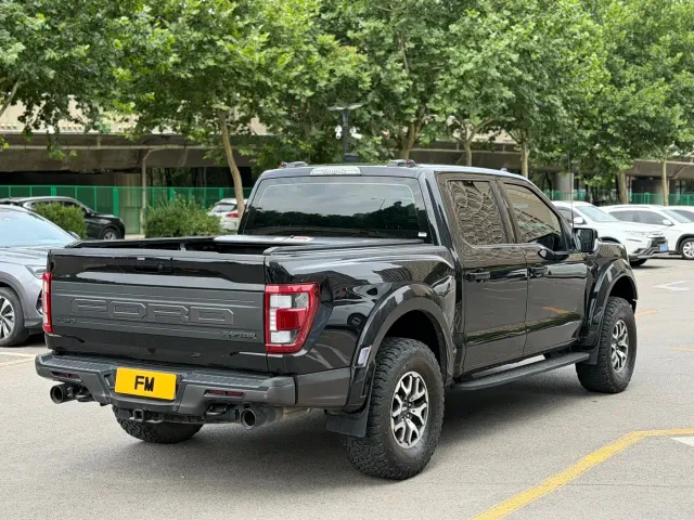 Ford F-150 Raptor — Фото автомобиля 19