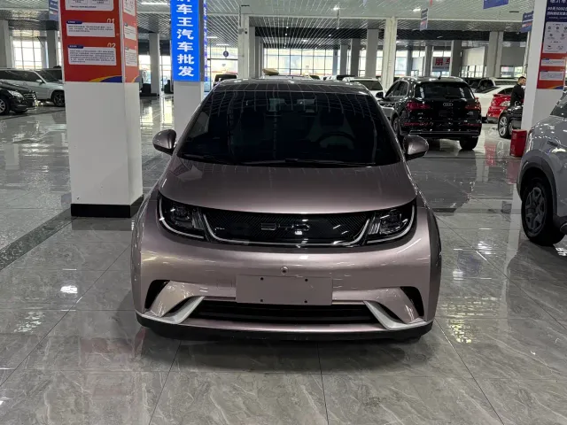 BYD Dolphin — Фото автомобиля 2