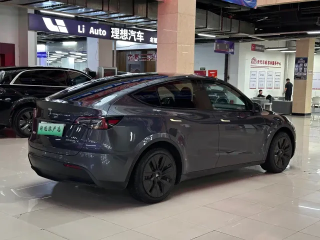 Tesla Model Y — Фото автомобиля 4