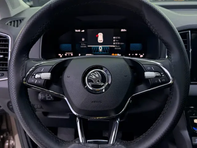 Skoda Karoq — Фото автомобиля 12