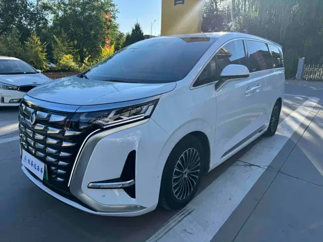 Фотография автомобиля — Denza D9