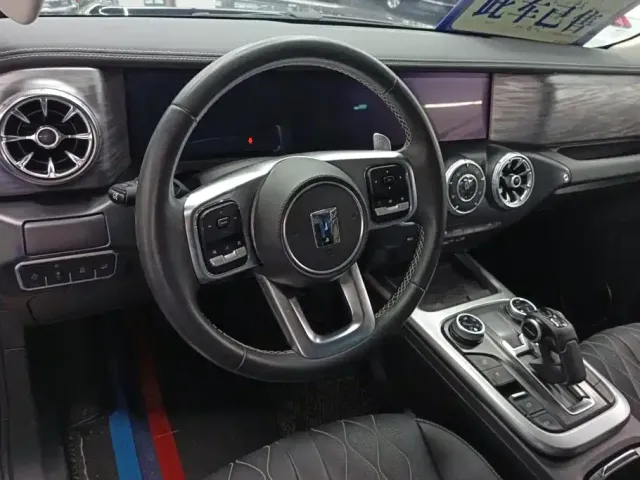 Tank Tank 300 2024 Model 2.0T Challenger — Фото автомобиля 12