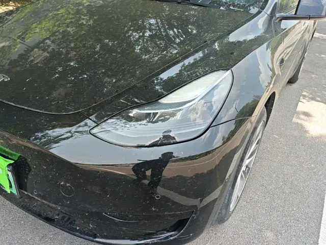 Tesla Model Y — Фото автомобиля 17