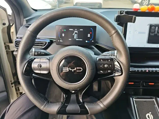 BYD Seagull — Фото автомобиля 10