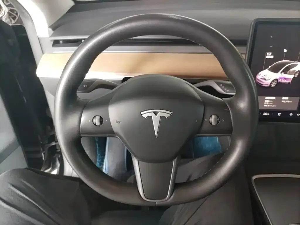 Tesla Model Y 2021 Standard Range Rear-Wheel Drive — Фото автомобиля 6