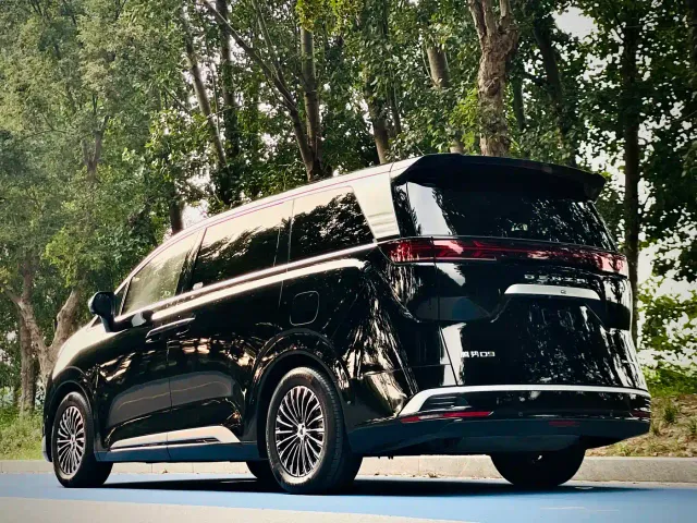 Denza D9 — Фото автомобиля 4
