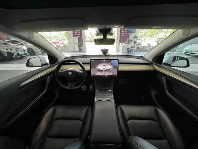 Tesla Model Y — Фото автомобиля 10