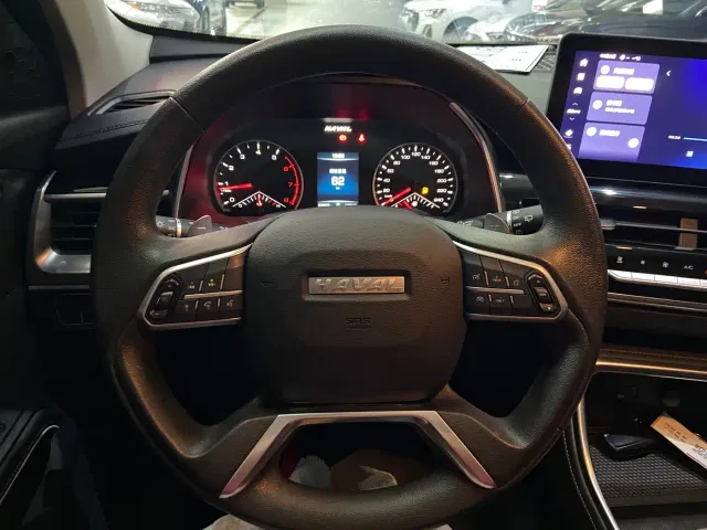 Haval H6 — Фото автомобиля 20