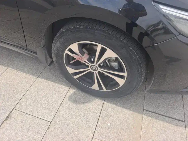 Nissan Sylphy — Фото автомобиля 6