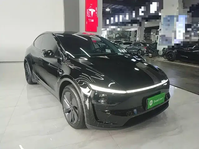Tesla Model Y — Фото автомобиля 3