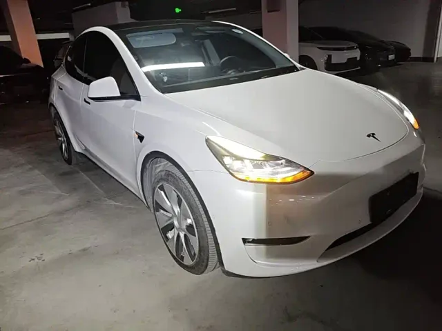 Tesla Model Y — Фото автомобиля 3