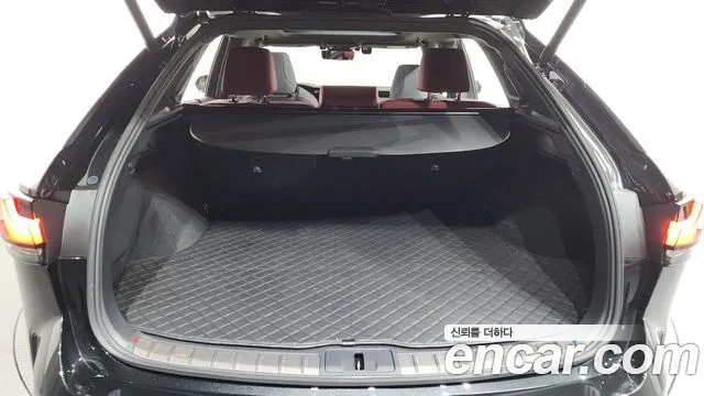 Lexus RX — Фото автомобиля 20