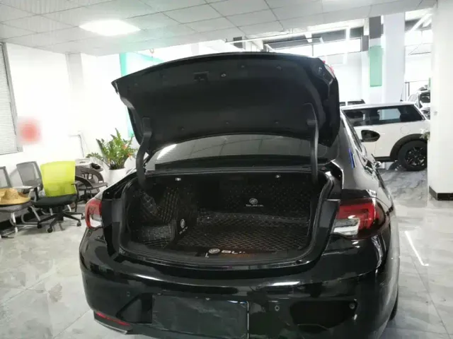 Buick Regal — Фото автомобиля 18
