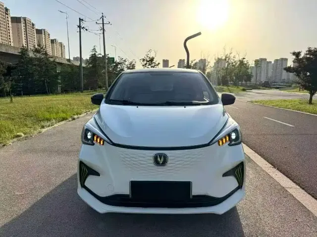 Фотография автомобиля — Changan Benben E-Star