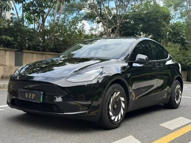 Tesla Model Y — Фото автомобиля 3