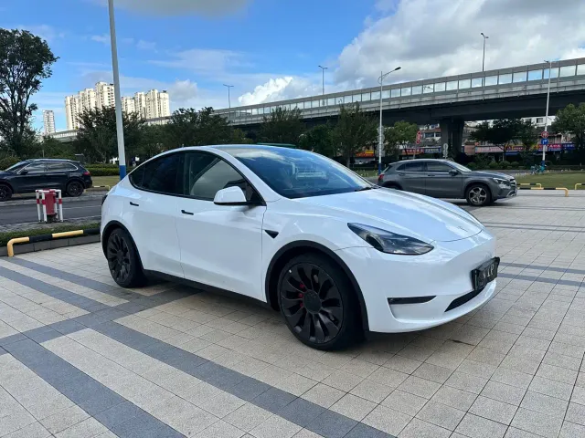 Tesla Model Y — Фото автомобиля 2