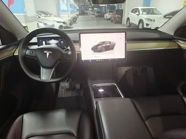 Tesla Model Y — Фото автомобиля 9