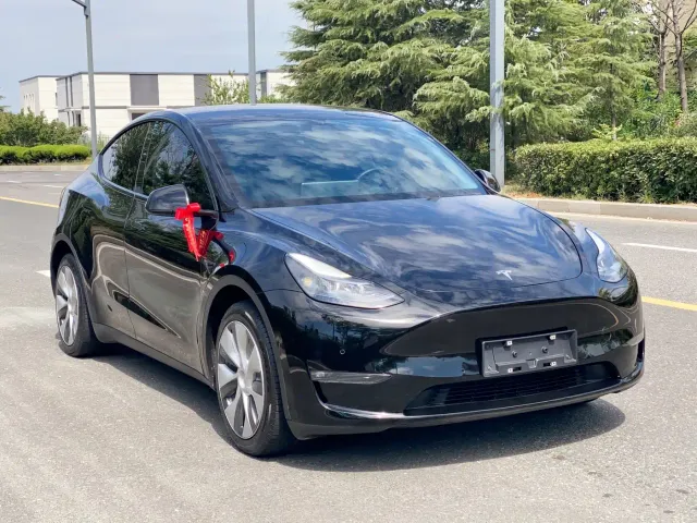Tesla Model Y — Фото автомобиля 3