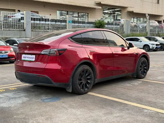 Tesla Model Y — Фото автомобиля 16