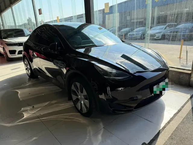 Tesla Model Y — Фото автомобиля 3