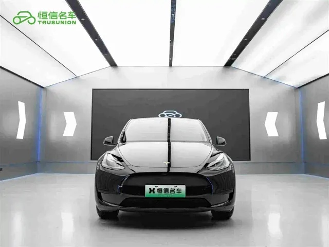 Tesla Model Y — Фото автомобиля 2