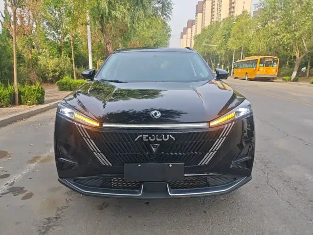 Dongfeng Haohan — Фото автомобиля 2