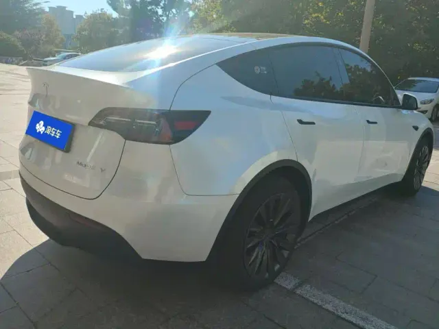 Tesla Model Y — Фото автомобиля 3
