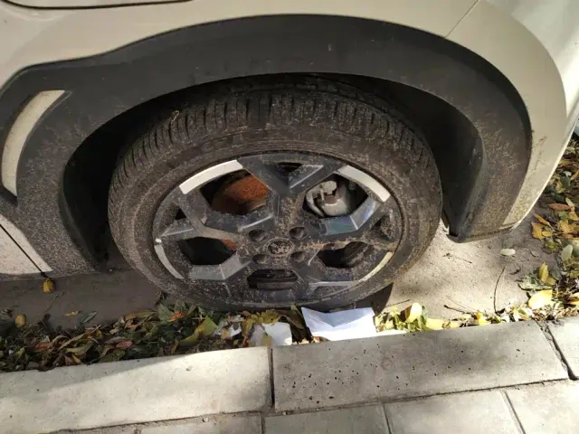 BYD Seagull — Фото автомобиля 6