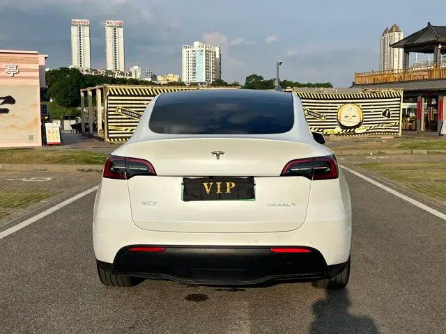 Tesla Model Y — Фото автомобиля 4
