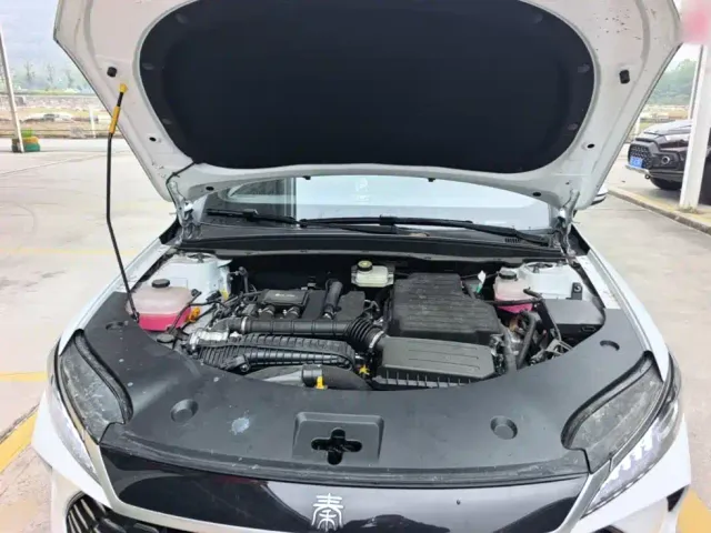 BYD Qin PLUS — Фото автомобиля 19